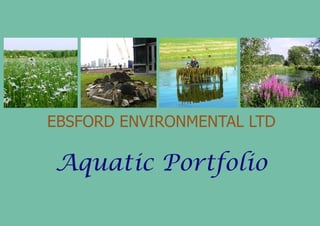 Ebsford aquatic portfolio