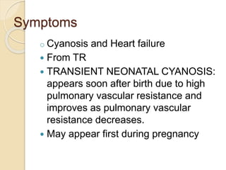 Symptoms
o Cyanosis and Heart failure
 From TR
 TRANSIENT NEONATAL CYANOSIS:
appears soon after birth due to high
pulmonary vascular resistance and
improves as pulmonary vascular
resistance decreases.
 May appear first during pregnancy
 