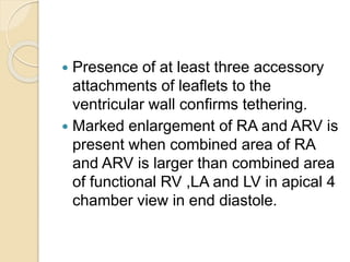  Presence of at least three accessory
attachments of leaflets to the
ventricular wall confirms tethering.
 Marked enlargement of RA and ARV is
present when combined area of RA
and ARV is larger than combined area
of functional RV ,LA and LV in apical 4
chamber view in end diastole.
 