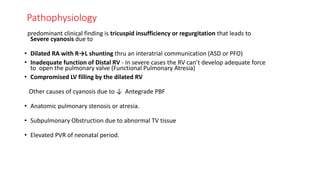 predominant clinical finding is tricuspid insufficiency or regurgitation that leads to
Severe cyanosis due to
• Dilated RA with R→L shunting thru an interatrial communication (ASD or PFO)
• Inadequate function of Distal RV - In severe cases the RV can’t develop adequate force
to open the pulmonary valve (Functional Pulmonary Atresia)
• Compromised LV filling by the dilated RV
Other causes of cyanosis due to ↓ Antegrade PBF
• Anatomic pulmonary stenosis or atresia.
• Subpulmonary Obstruction due to abnormal TV tissue
• Elevated PVR of neonatal period.
Pathophysiology
 