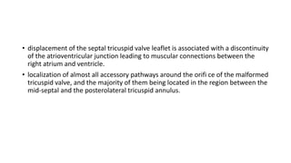 • displacement of the septal tricuspid valve leaflet is associated with a discontinuity
of the atrioventricular junction leading to muscular connections between the
right atrium and ventricle.
• localization of almost all accessory pathways around the orifi ce of the malformed
tricuspid valve, and the majority of them being located in the region between the
mid-septal and the posterolateral tricuspid annulus.
 