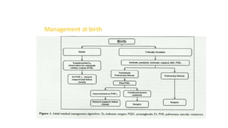 Management at birth
 