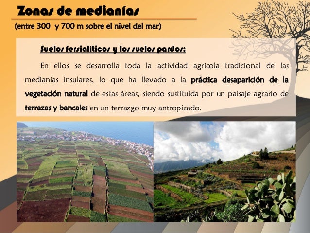 Los Suelos de Canarias