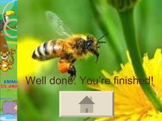 Well done. You’re finished!
 