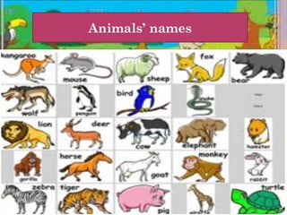 Animals’ names
 