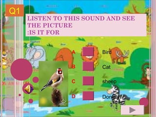 Q1
     LISTEN TO THIS SOUND AND SEE
     THE PICTURE
     :IS IT FOR


                A       Bird

                B       Cat

                C       sheep

                D       Donkey
 