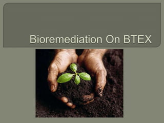 Bioremediation On BTEX 