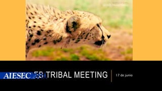 EB TRIBAL MEETING 17 de junio
 