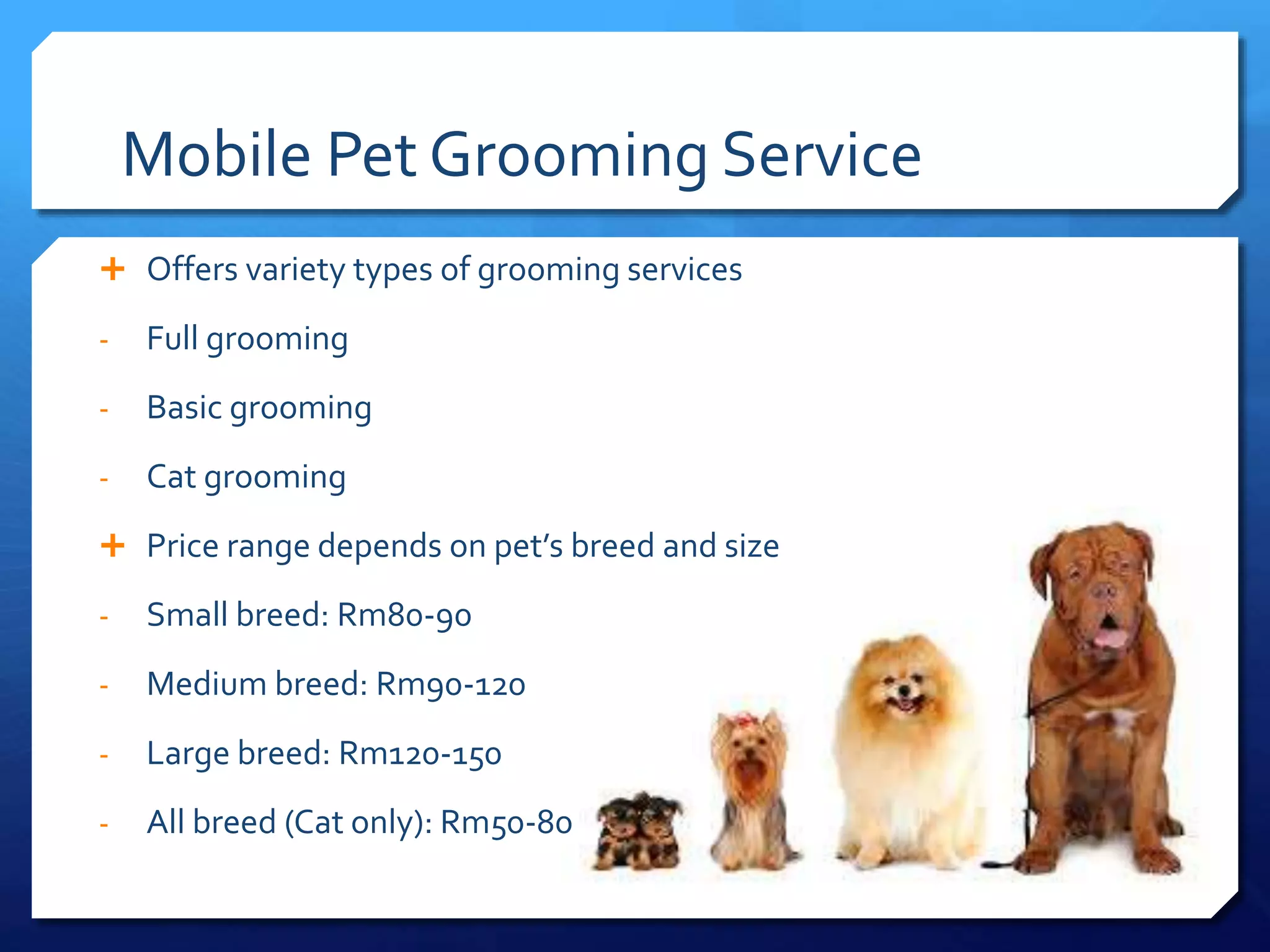 Mobile Pet Grooming Business Business Finance Tips