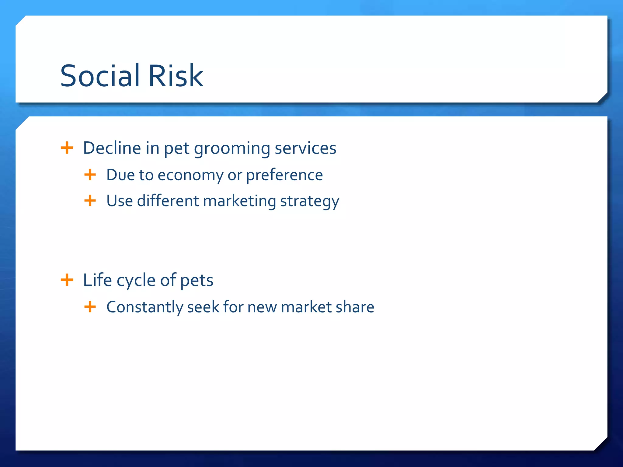 Dog Grooming Business Loans: The Complete Financing Guide for Dog ...