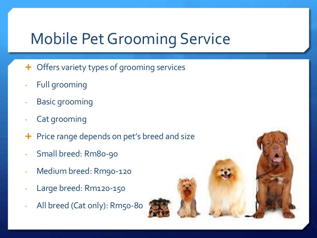 mobile dog grooming business plan example