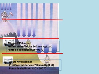 Altura = 2850 m snm
Presión atmosférica = 540 mm Hg (1 at)
Punto de ebullición H2O = 92 0C



 Altura Nivel del mar
 Presión atmosférica = 760 mm Hg (1 at)
 Punto de ebullición H2O = 100 0C
 