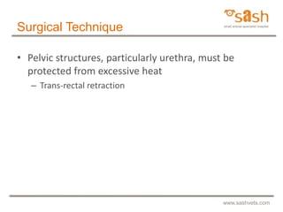 SASH : Juvenile pubic symphysiodesis by Dr Daniel R James | PPTX