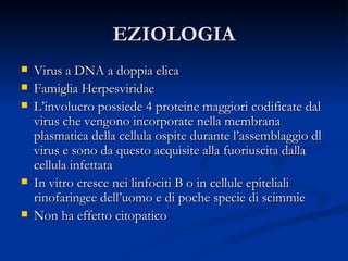 EZIOLOGIA Virus a DNA a doppia elica Famiglia Herpesviridae L’involucro possiede 4 proteine maggiori codificate dal virus che vengono incorporate nella membrana plasmatica della cellula ospite durante l’assemblaggio dl virus e sono da questo acquisite alla fuoriuscita dalla cellula infettata In vitro cresce nei linfociti B o in cellule epiteliali rinofaringee dell’uomo e di poche specie di scimmie Non ha effetto citopatico 