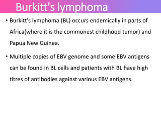 Burkitt's lymphoma
• Burkitt's lymphoma (BL) occurs endemically in parts of
Africa(where it is the commonest childhood tumor) and
Papua New Guinea.
• Multiple copies of EBV genome and some EBV antigens
can be found in BL cells and patients with BL have high
titres of antibodies against various EBV antigens.
 