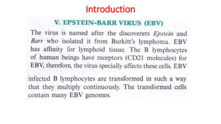 EBV notes | PDF