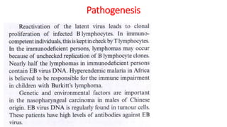EBV notes | PDF