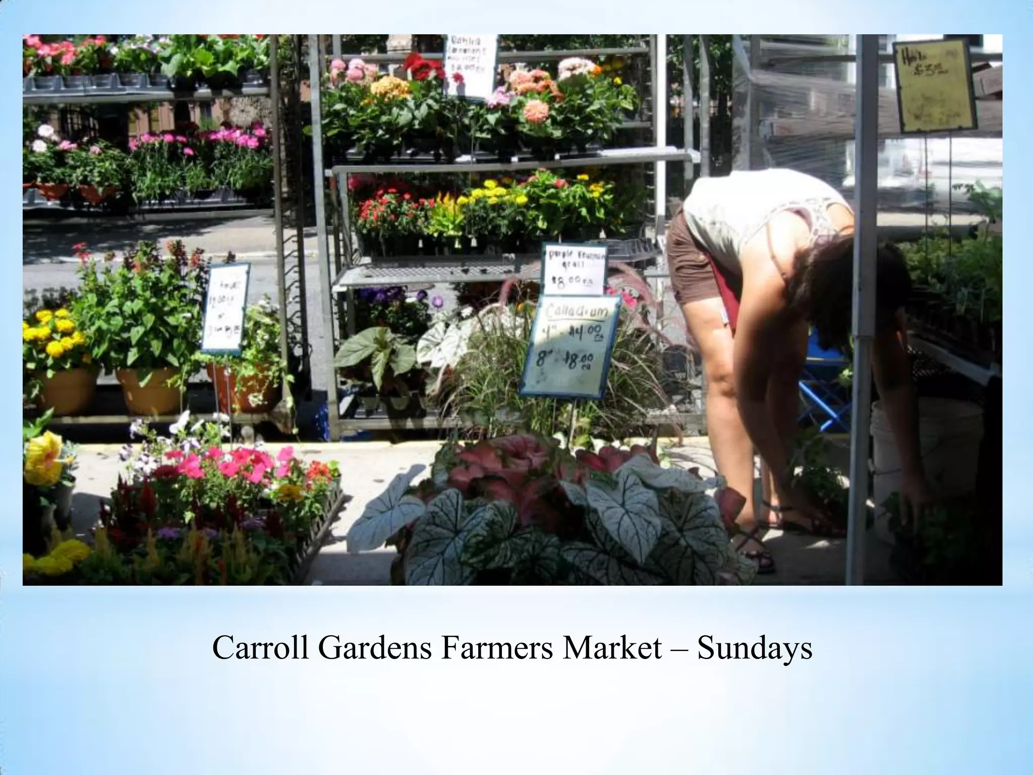 Carroll Gardens Farmers Market – Sundays
 