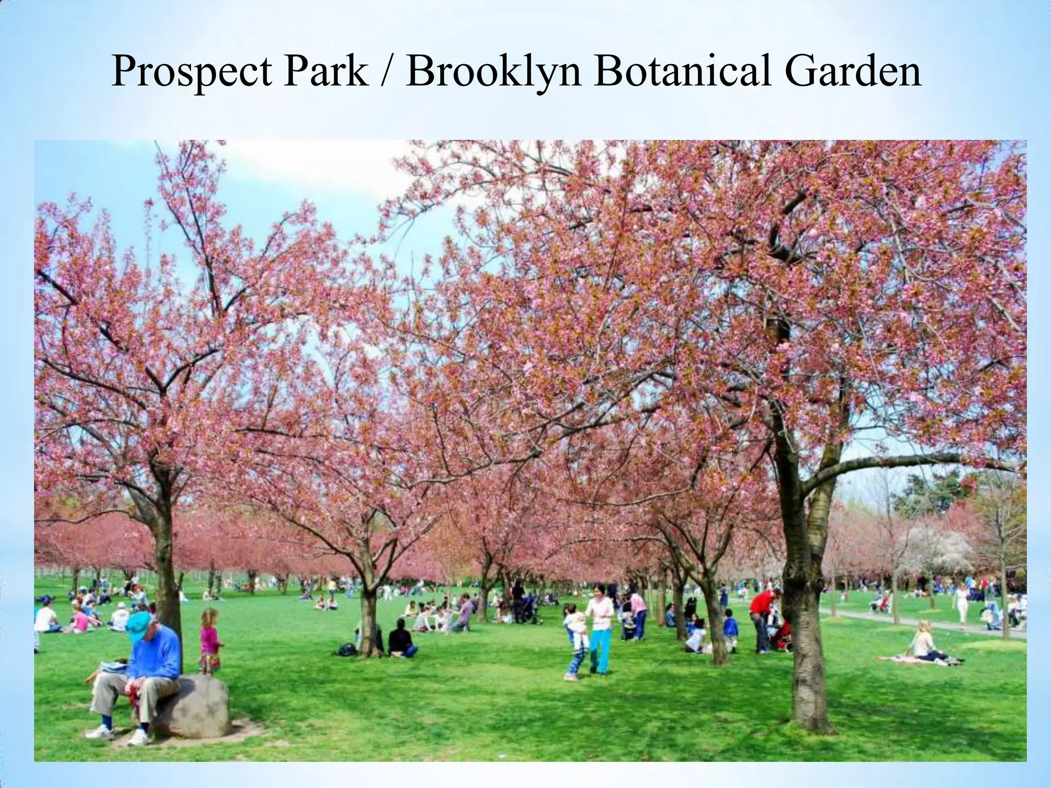 Prospect Park / Brooklyn Botanical Garden
 