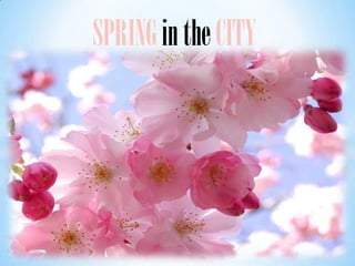 SPRING in the CITY
 