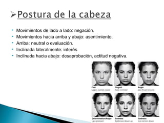 





Movimientos de lado a lado: negación.
Movimientos hacia arriba y abajo: asentimiento.
Arriba: neutral o evaluación.
Inclinada lateralmente: interés
Inclinada hacia abajo: desaprobación, actitud negativa.

 