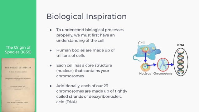 Evolutionary Computing - Genetic Algorithms - An Introduction | PPT
