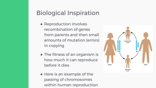 Evolutionary Computing - Genetic Algorithms - An Introduction | PPT