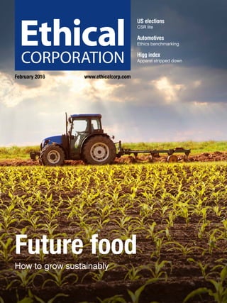 February 2016	 www.ethicalcorp.com
US elections
CSR lite
Automotives
Ethics benchmarking
Higg index
Apparel stripped down
Future food
How to grow sustainably
 