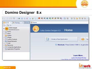 Domino Designer 8.x
 
