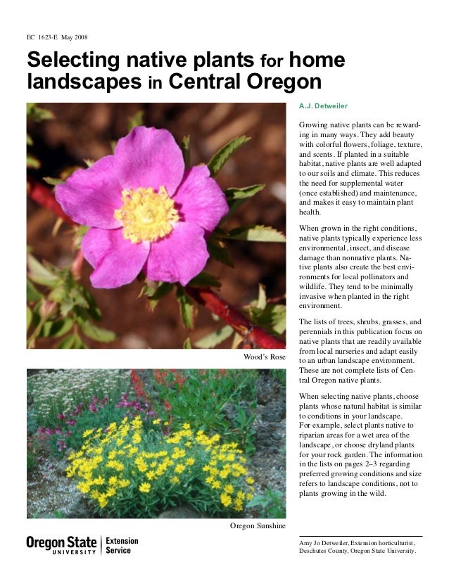 Selecting Native Plants for Home Landscapes in Central Oregon