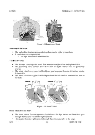 EC2021 MEDICAL ELECTRONICS
SCE 16 DEPT.OF ECE
Figure 1.18 Location of Heart
Anatomy of the heart
• The walls of the heart are composed of cardiac muscle, called myocardium.
• It consists of four compartments:
– the right and left atria and ventricles
The Heart Valves
• The tricuspid valve regulates blood flow between the right atrium and right ventricle.
• The pulmonary valve controls blood flow from the right ventricle into the pulmonary
arteries
• The mitral valve lets oxygen-rich blood from your lungs pass from the left atrium into the
left ventricle.
• The aortic valve lets oxygen-rich blood pass from the left ventricle into the aorta, then to
the body.
Figure 1.19 Heart Valves
Blood circulation via heart
• The blood returns from the systemic circulation to the right atrium and from there goes
through the tricuspid valve to the right ventricle.
• It is ejected from the right ventricle through the pulmonary valve to the lungs.
EC2021 MEDICAL ELECTRONICS
SCE 16 DEPT.OF ECE
Figure 1.18 Location of Heart
Anatomy of the heart
• The walls of the heart are composed of cardiac muscle, called myocardium.
• It consists of four compartments:
– the right and left atria and ventricles
The Heart Valves
• The tricuspid valve regulates blood flow between the right atrium and right ventricle.
• The pulmonary valve controls blood flow from the right ventricle into the pulmonary
arteries
• The mitral valve lets oxygen-rich blood from your lungs pass from the left atrium into the
left ventricle.
• The aortic valve lets oxygen-rich blood pass from the left ventricle into the aorta, then to
the body.
Figure 1.19 Heart Valves
Blood circulation via heart
• The blood returns from the systemic circulation to the right atrium and from there goes
through the tricuspid valve to the right ventricle.
• It is ejected from the right ventricle through the pulmonary valve to the lungs.
EC2021 MEDICAL ELECTRONICS
SCE 16 DEPT.OF ECE
Figure 1.18 Location of Heart
Anatomy of the heart
• The walls of the heart are composed of cardiac muscle, called myocardium.
• It consists of four compartments:
– the right and left atria and ventricles
The Heart Valves
• The tricuspid valve regulates blood flow between the right atrium and right ventricle.
• The pulmonary valve controls blood flow from the right ventricle into the pulmonary
arteries
• The mitral valve lets oxygen-rich blood from your lungs pass from the left atrium into the
left ventricle.
• The aortic valve lets oxygen-rich blood pass from the left ventricle into the aorta, then to
the body.
Figure 1.19 Heart Valves
Blood circulation via heart
• The blood returns from the systemic circulation to the right atrium and from there goes
through the tricuspid valve to the right ventricle.
• It is ejected from the right ventricle through the pulmonary valve to the lungs.
 