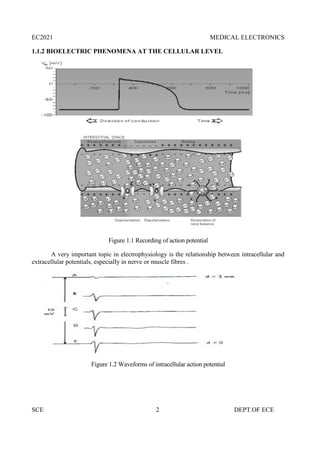 EC2021 MEDICAL ELECTRONICS
SCE 2 DEPT.OF ECE
1.1.2 BIOELECTRIC PHENOMENA AT THE CELLULAR LEVEL
Figure 1.1 Recording of action potential
A very important topic in electrophysiology is the relationship between intracellular and
extracellular potentials, especially in nerve or muscle fibres .
Figure 1.2 Waveforms of intracellular action potential
EC2021 MEDICAL ELECTRONICS
SCE 2 DEPT.OF ECE
1.1.2 BIOELECTRIC PHENOMENA AT THE CELLULAR LEVEL
Figure 1.1 Recording of action potential
A very important topic in electrophysiology is the relationship between intracellular and
extracellular potentials, especially in nerve or muscle fibres .
Figure 1.2 Waveforms of intracellular action potential
EC2021 MEDICAL ELECTRONICS
SCE 2 DEPT.OF ECE
1.1.2 BIOELECTRIC PHENOMENA AT THE CELLULAR LEVEL
Figure 1.1 Recording of action potential
A very important topic in electrophysiology is the relationship between intracellular and
extracellular potentials, especially in nerve or muscle fibres .
Figure 1.2 Waveforms of intracellular action potential
 
