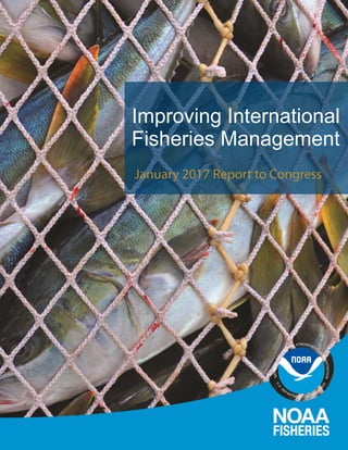 Improving International
Fisheries Management
January 2017 Report to Congress
 