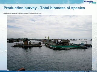 Production survey - Total biomass of species
SPECIES CULTURED BIOMASS (kg) Total Biomass (%)
Milkfish monoculture 275,896.25 84.97
Milkfish-Siganid polyculture 48,470* 14.93
Grouper culture 186.85 0.06
Pomfret (Pampano) Culture 117.5 0.04
TOTAL 324,670.60
Total biomass of species culture at Panabo City Mariculture Park
 
