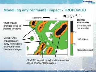 Modelling environmental impact - TROPOMOD
HIGH impact
(orange) close to
clusters of cages
SEVERE impact (grey) under clusters of
cages or under large cages
MODERATE
impact (green)
away from cages
or around small
clusters of cages
 