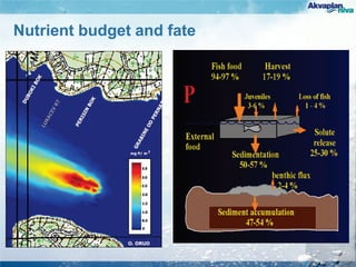 Nutrient budget and fate
 
