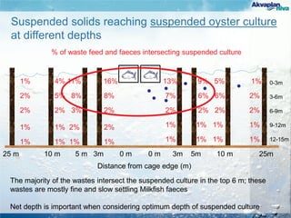 Distance from cage edge (m)
25 m 10 m 5 m 3m 0 m 0 m 3m 5m 10 m 25m
1% 4% 11% 16%
% of waste feed and faeces intersecting suspended culture
Suspended solids reaching suspended oyster culture
at different depths
The majority of the wastes intersect the suspended culture in the top 6 m; these
wastes are mostly fine and slow settling Milkfish faeces
Net depth is important when considering optimum depth of suspended culture
0-3m
3-6m
6-9m
9-12m
12-15m
2% 5% 8% 8%
2% 2% 3% 2%
1% 1% 2% 2%
1% 1% 1% 1%
13% 9% 5% 1%
7% 6% 6% 2%
2% 2% 2% 2%
1% 1% 1% 1%
1% 1% 1% 1%
 