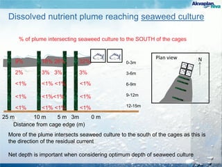 Distance from cage edge (m)
25 m 10 m 5 m 3m 0 m
9% 18% 26% 32%
Dissolved nutrient plume reaching seaweed culture
More of the plume intersects seaweed culture to the south of the cages as this is
the direction of the residual current
Net depth is important when considering optimum depth of seaweed culture
0-3m
3-6m
6-9m
9-12m
12-15m
2% 3% 3% 3%
<1% <1% <1% <1%
<1% <1%<1% <1%
<1% <1% <1% <1%
Plan view N
% of plume intersecting seaweed culture to the SOUTH of the cages
 