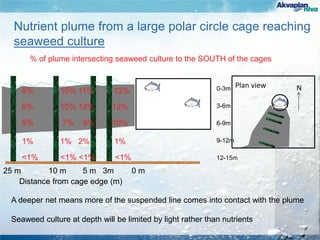 Distance from cage edge (m)
25 m 10 m 5 m 3m 0 m
6% 10% 11% 12%
Nutrient plume from a large polar circle cage reaching
seaweed culture
A deeper net means more of the suspended line comes into contact with the plume
Seaweed culture at depth will be limited by light rather than nutrients
0-3m
3-6m
6-9m
9-12m
12-15m
6% 10% 12% 12%
5% 7% 9% 10%
1% 1% 2% 1%
<1% <1% <1% <1%
Plan view N
% of plume intersecting seaweed culture to the SOUTH of the cages
 