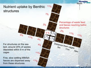 North
Nutrient uptake by Benthic
structures
Percentage of waste feed
and faeces reaching bethic
structures
For structures on the sea
bed, around 20% of wastes
deposited within 8 m of the
cages
Fine, slow settling Milkfish
faeces are dispersed away
from these structures
4 %
 