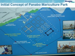 Initial Concept of Panabo Mariculture Park
 