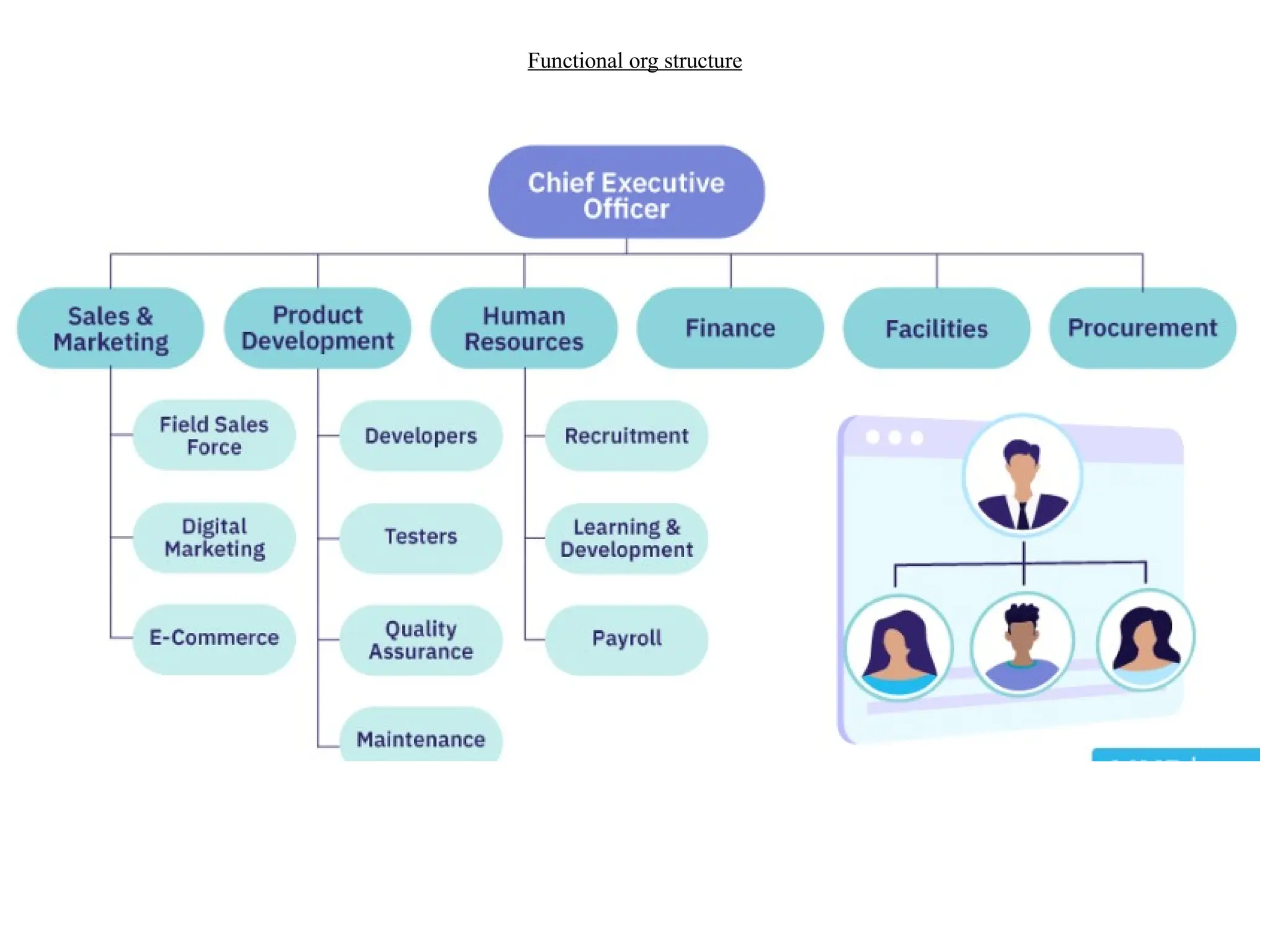 Functional org structure
 