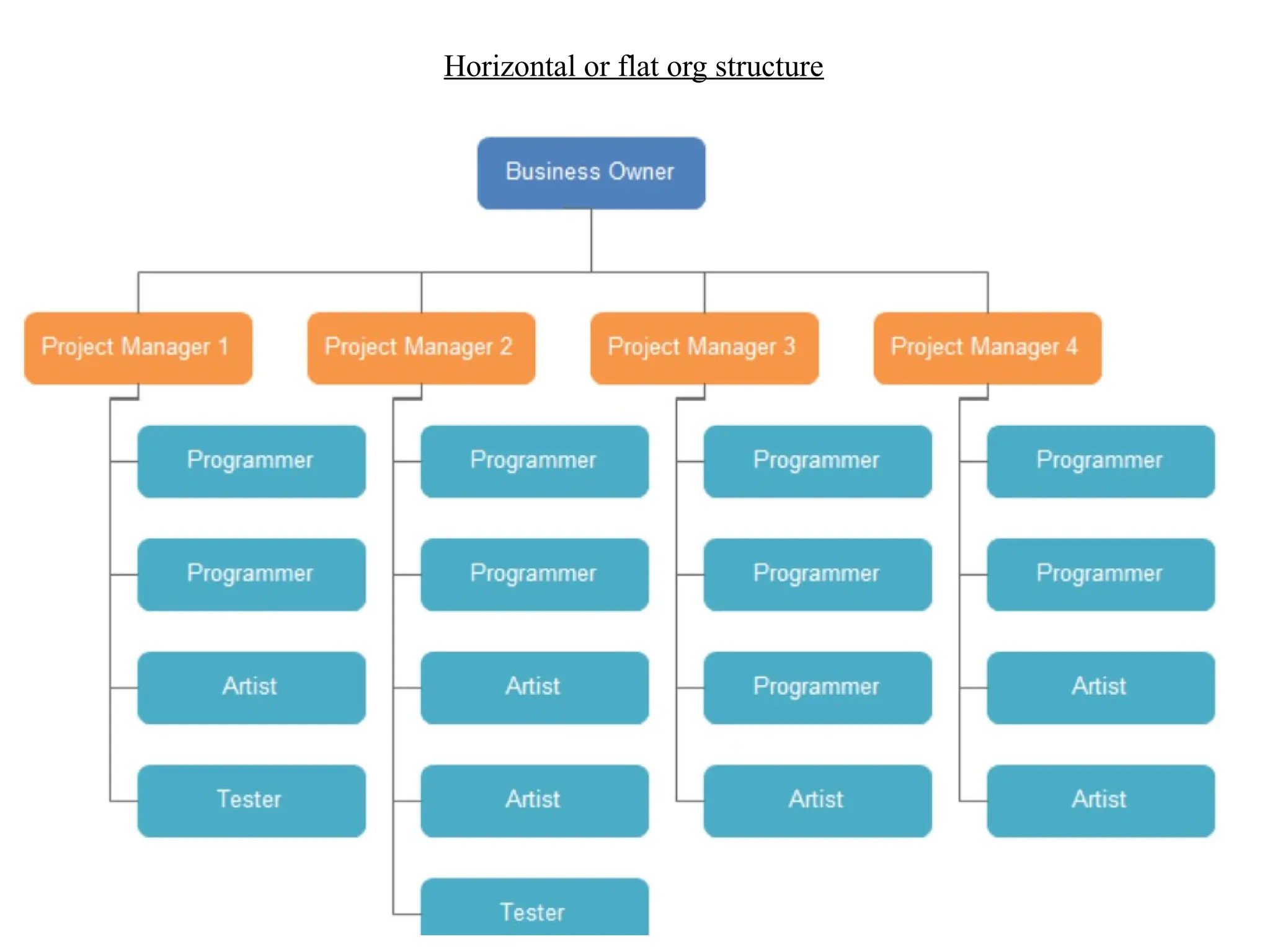 Horizontal or flat org structure
 