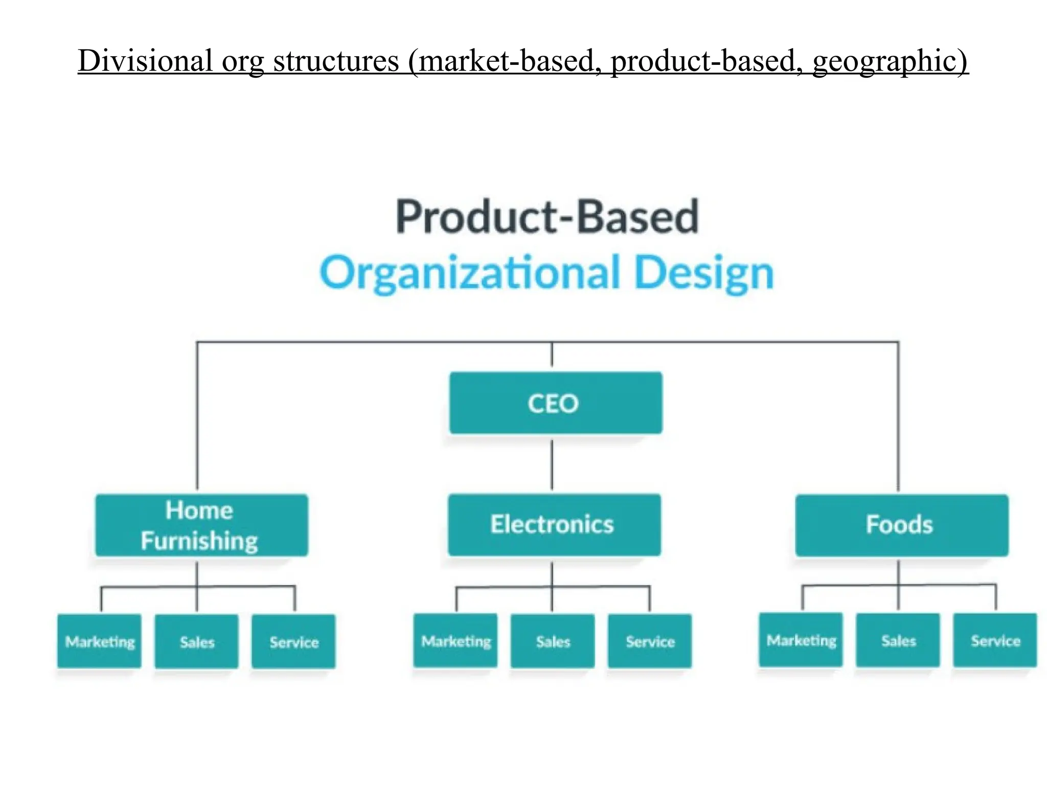 Divisional org structures (market-based, product-based, geographic)
 