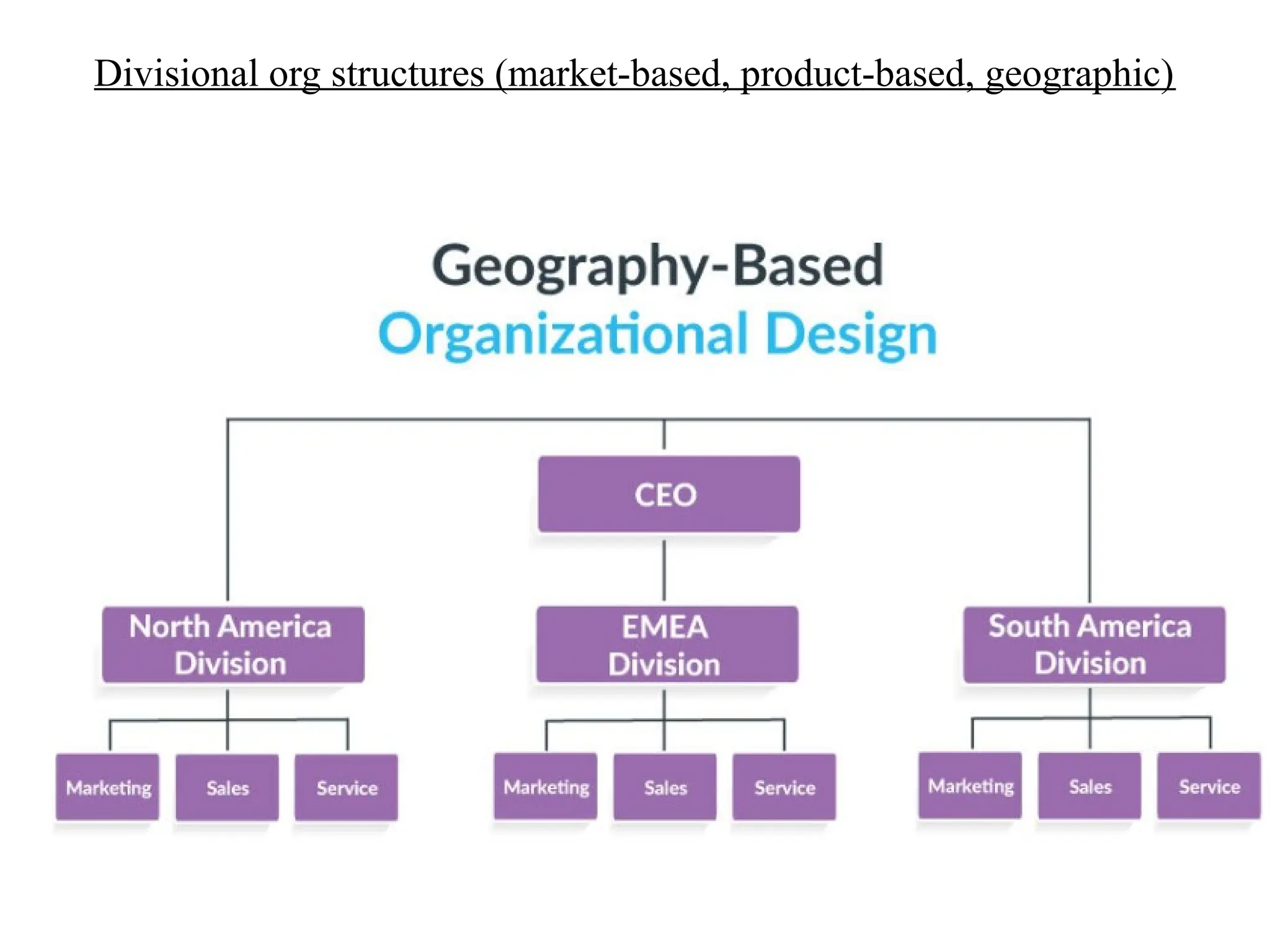 Divisional org structures (market-based, product-based, geographic)
 