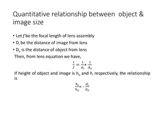 Quantitative relationship between object &
image size
 