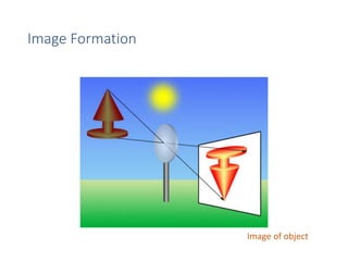 Image Formation
Image of object
 