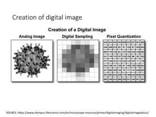 Creation of digital image
7
SOURCE: https://www.olympus-lifescience.com/en/microscope-resource/primer/digitalimaging/digitalimagebasics/
 