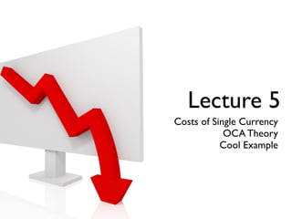 Lecture 5
Costs of Single Currency
            OCA Theory
           Cool Example