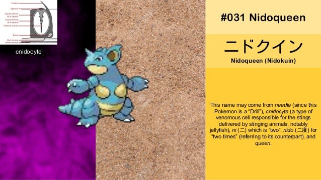 Pokemon Names In Japanese Pokemon Names In Japanese